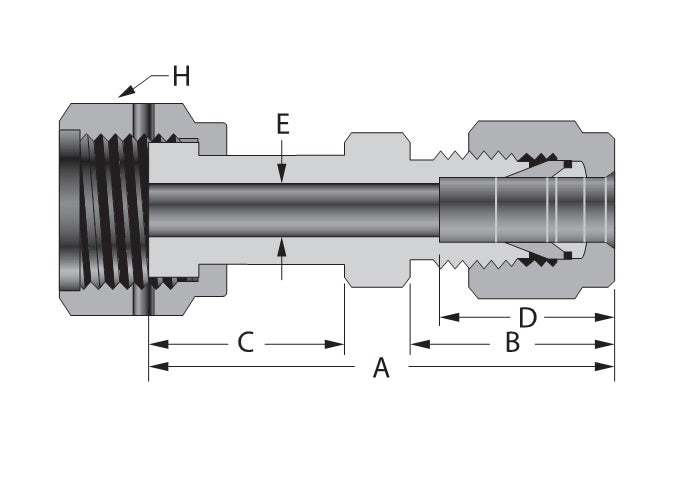 DOGDC-12-12T